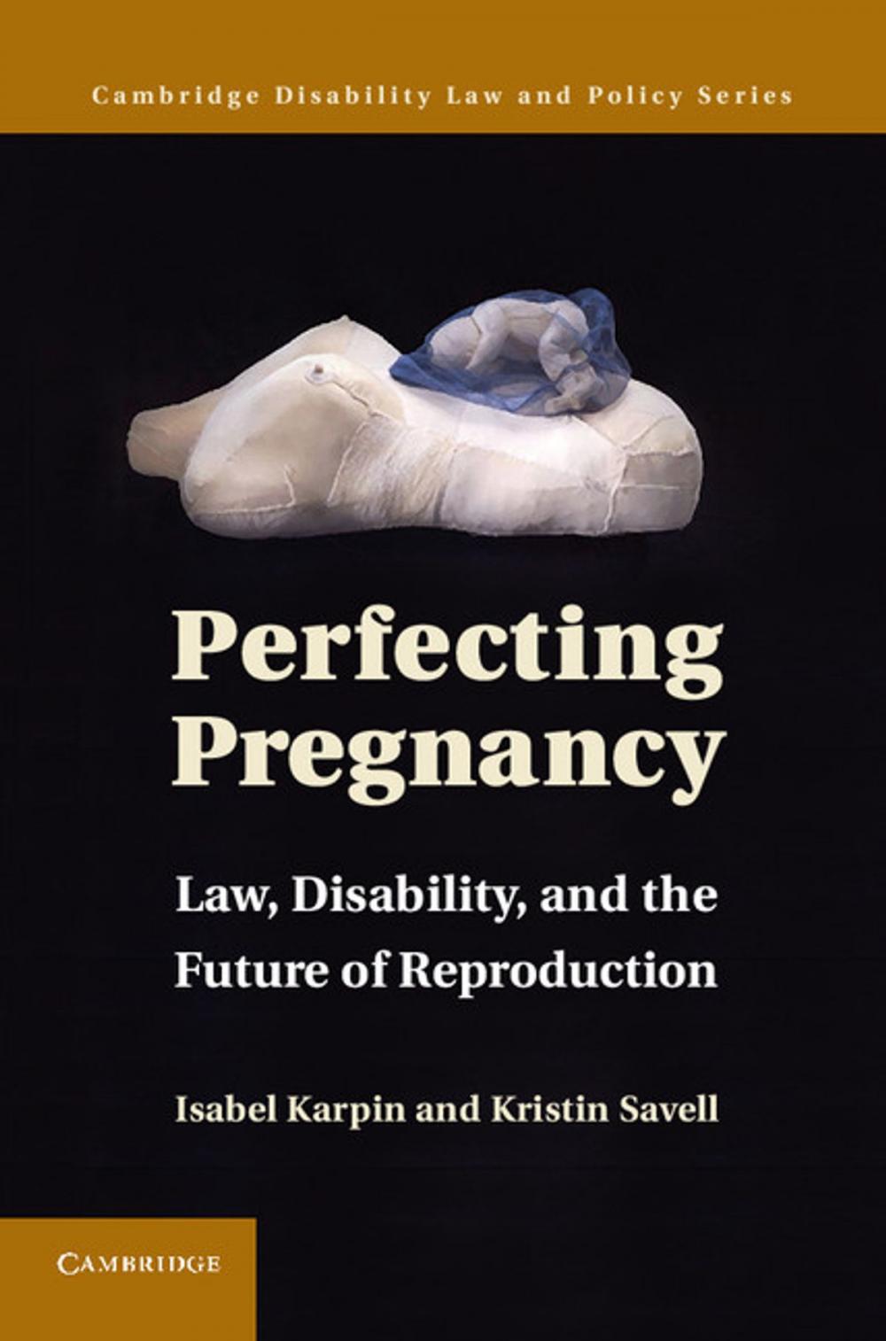 Big bigCover of Perfecting Pregnancy