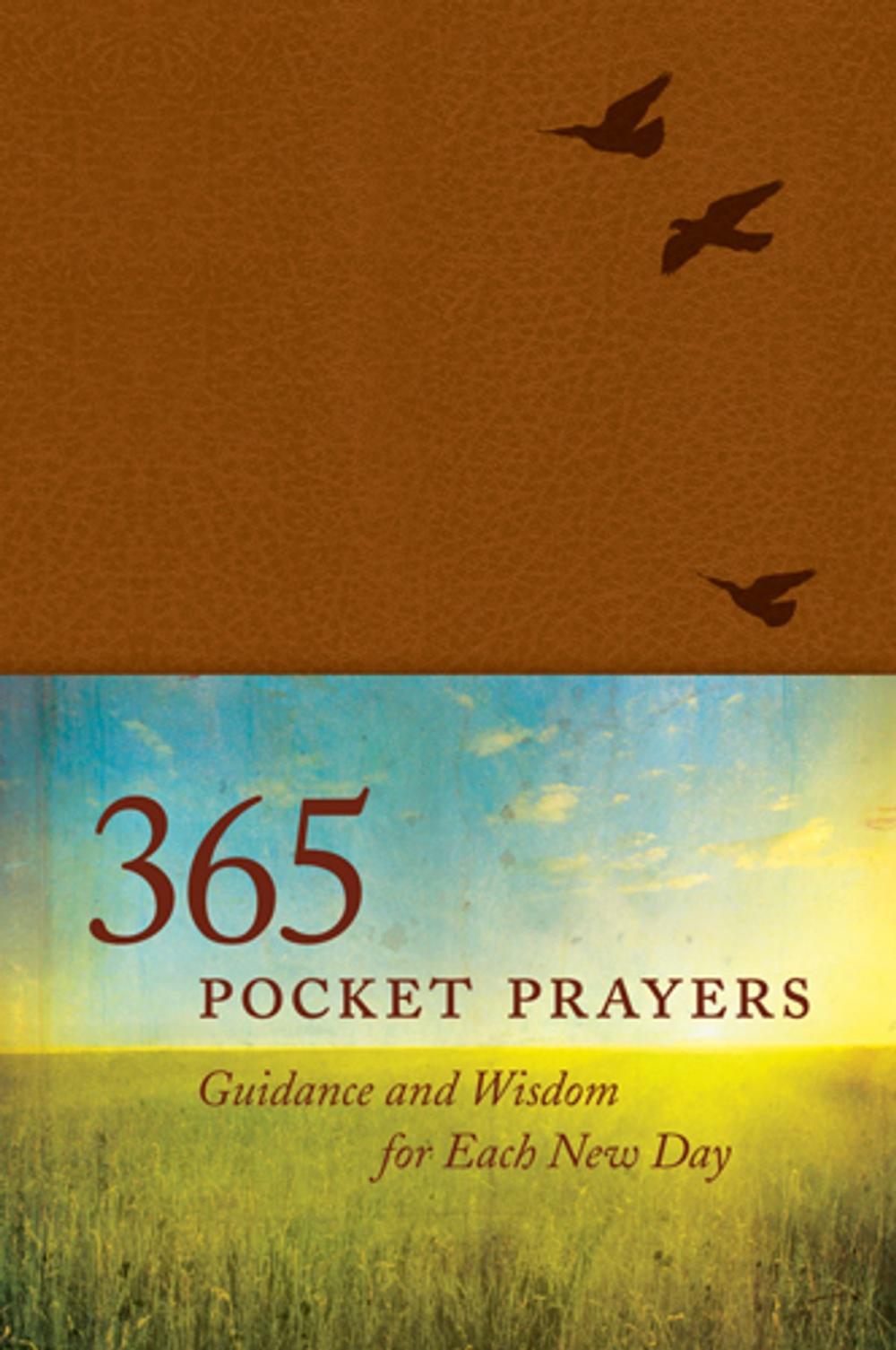 Big bigCover of 365 Pocket Prayers