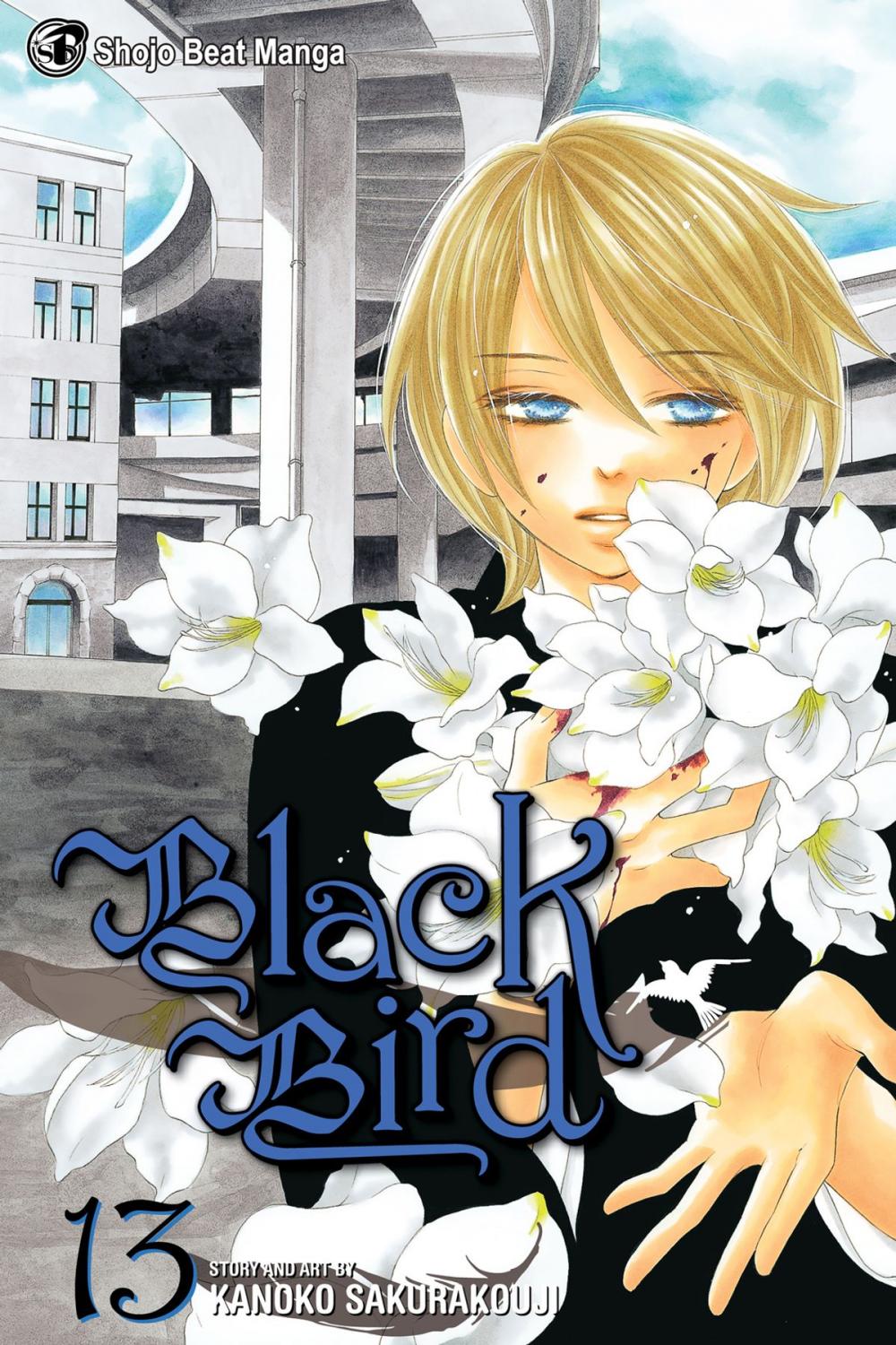 Big bigCover of Black Bird, Vol. 13