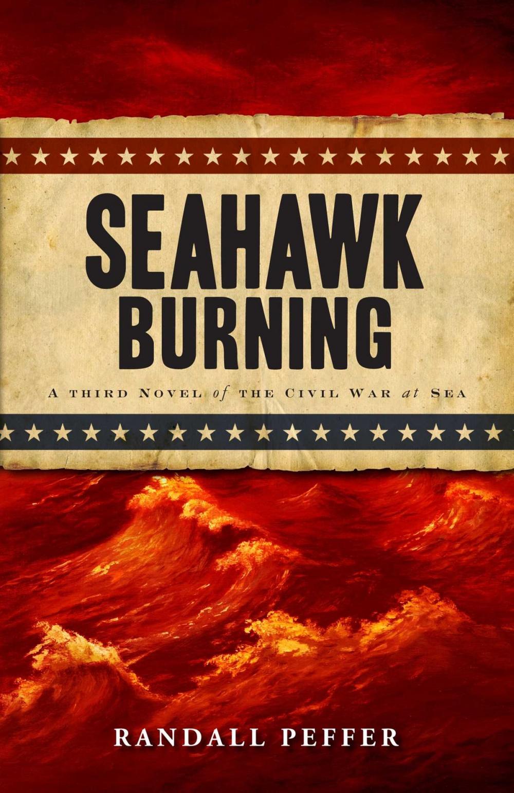 Big bigCover of Seahawk Burning