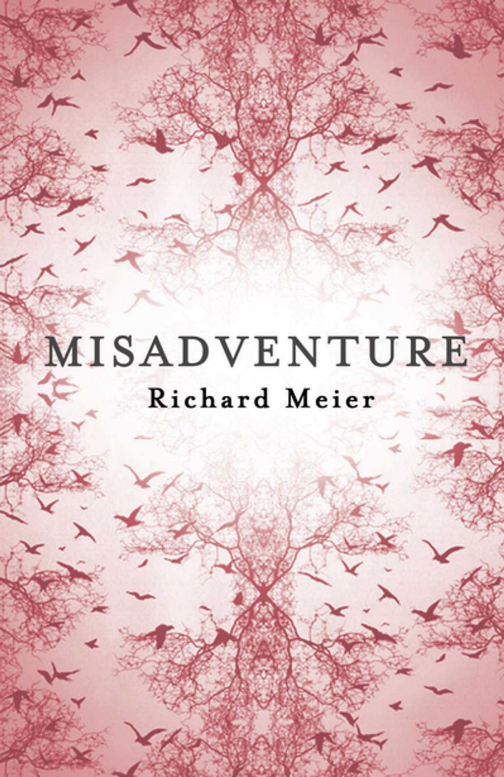 Big bigCover of Misadventure