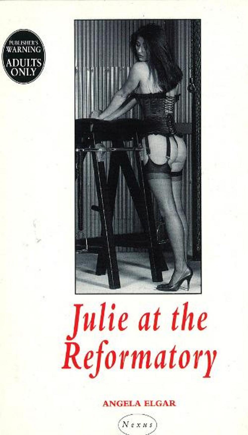 Big bigCover of Julie At The Reformatory