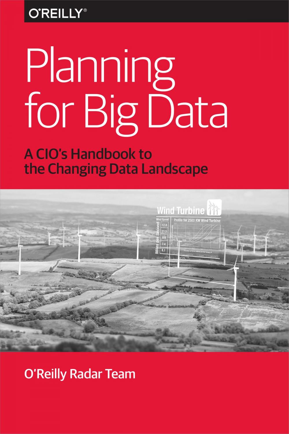 Big bigCover of Planning for Big Data