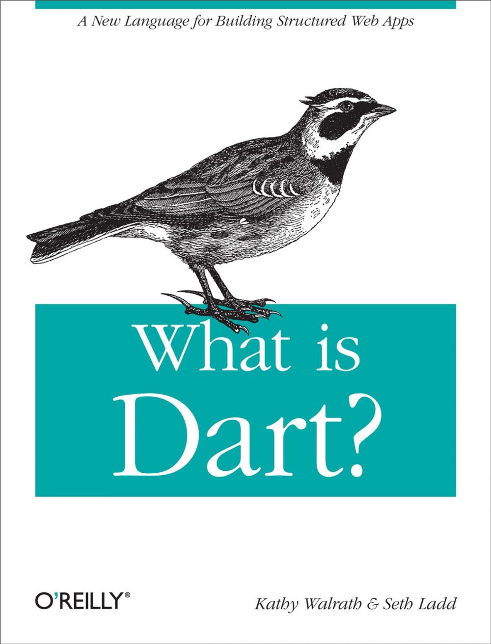 Big bigCover of What is Dart?