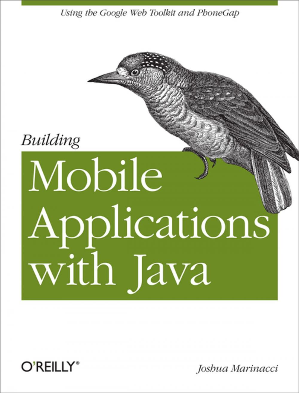 Big bigCover of Building Mobile Applications with Java