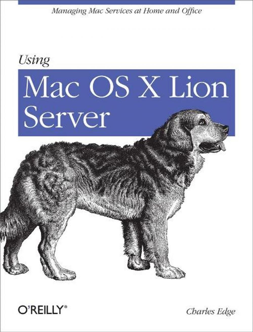 Big bigCover of Using Mac OS X Lion Server