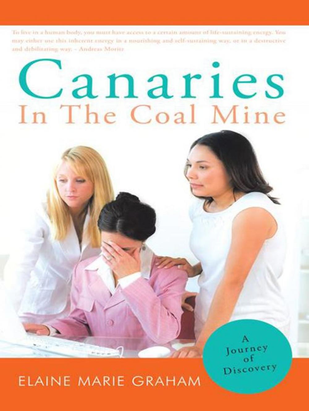 Big bigCover of Canaries in the Coal Mine