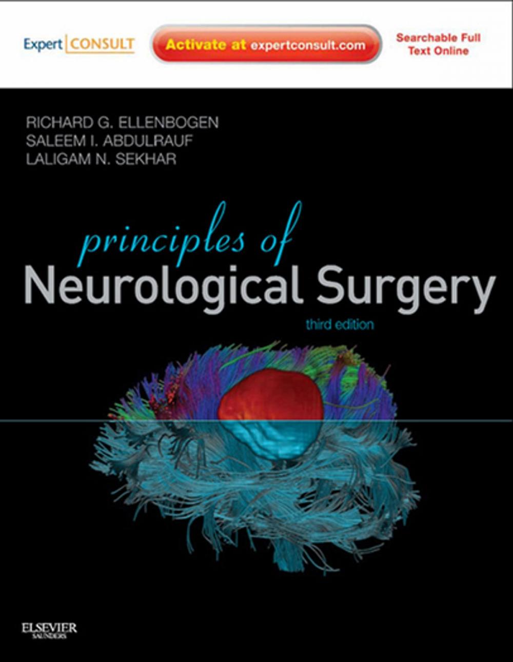 Big bigCover of Principles of Neurological Surgery E-Book