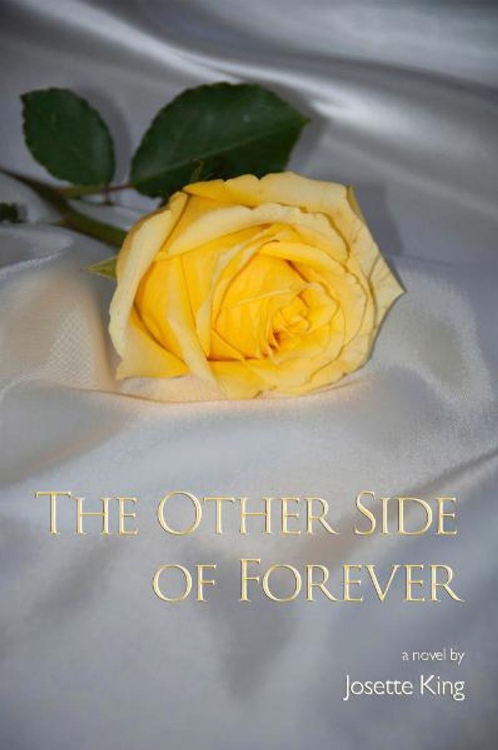 Big bigCover of The Other Side of Forever