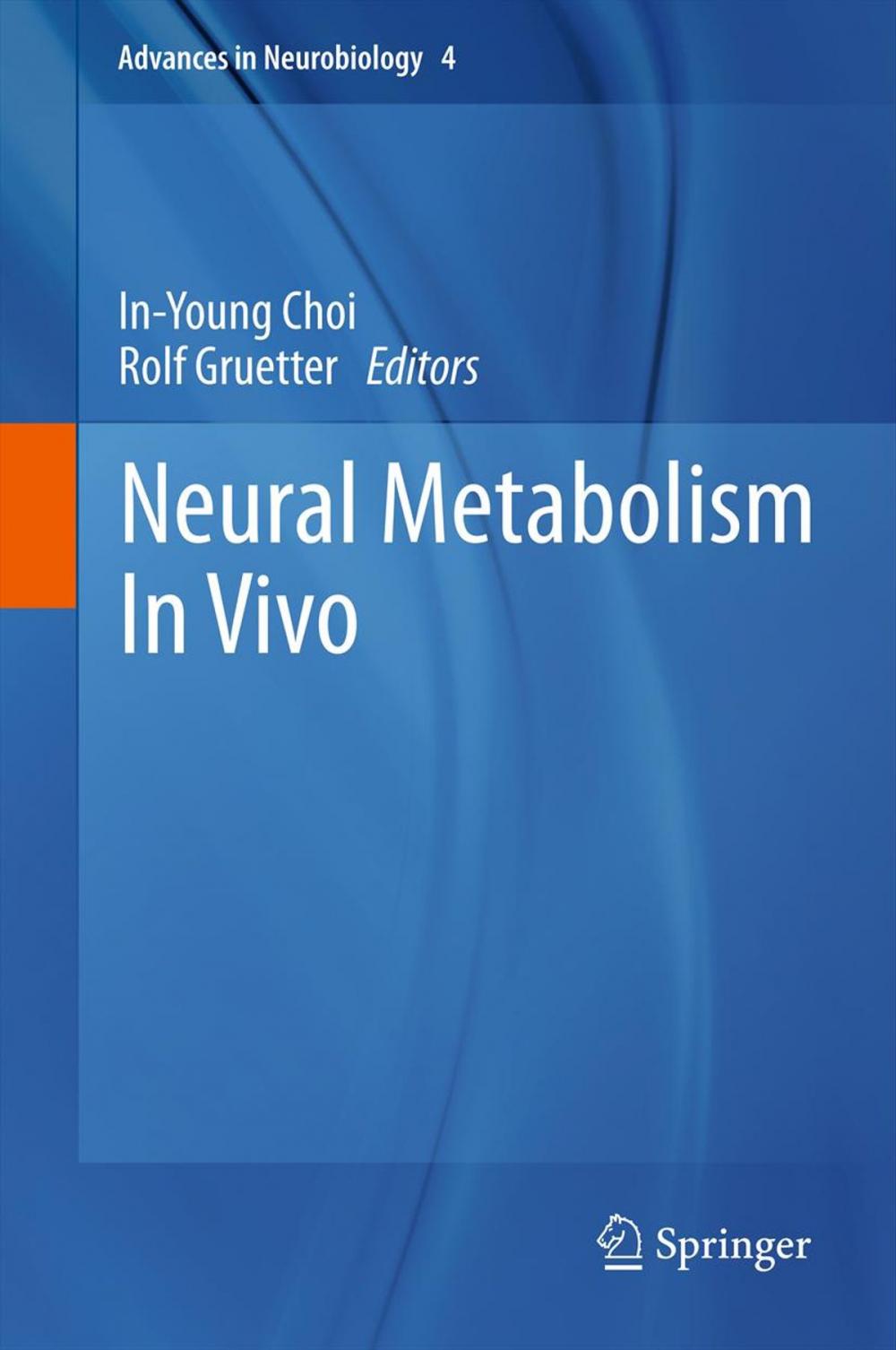 Big bigCover of Neural Metabolism In Vivo