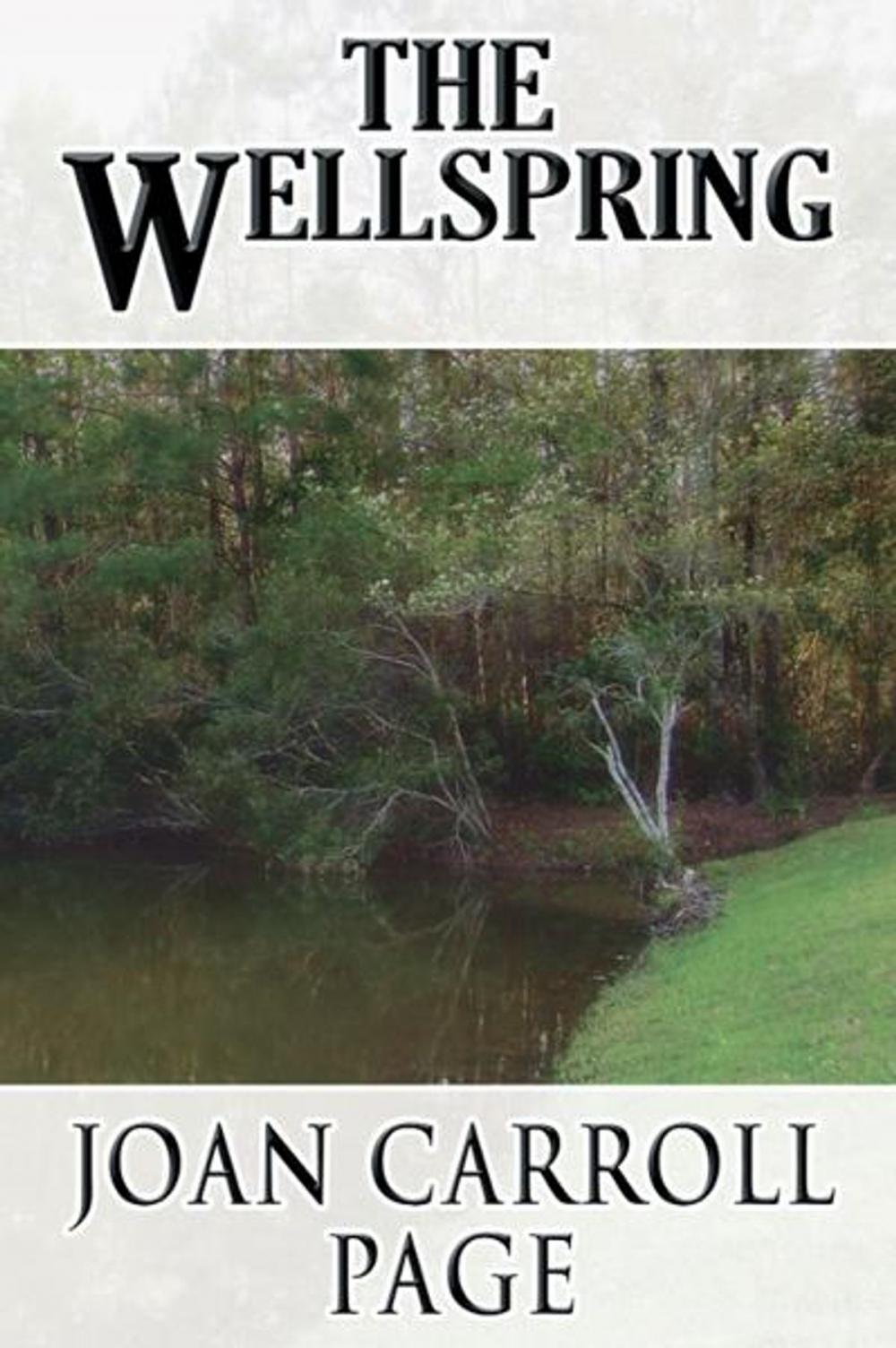 Big bigCover of The Wellspring