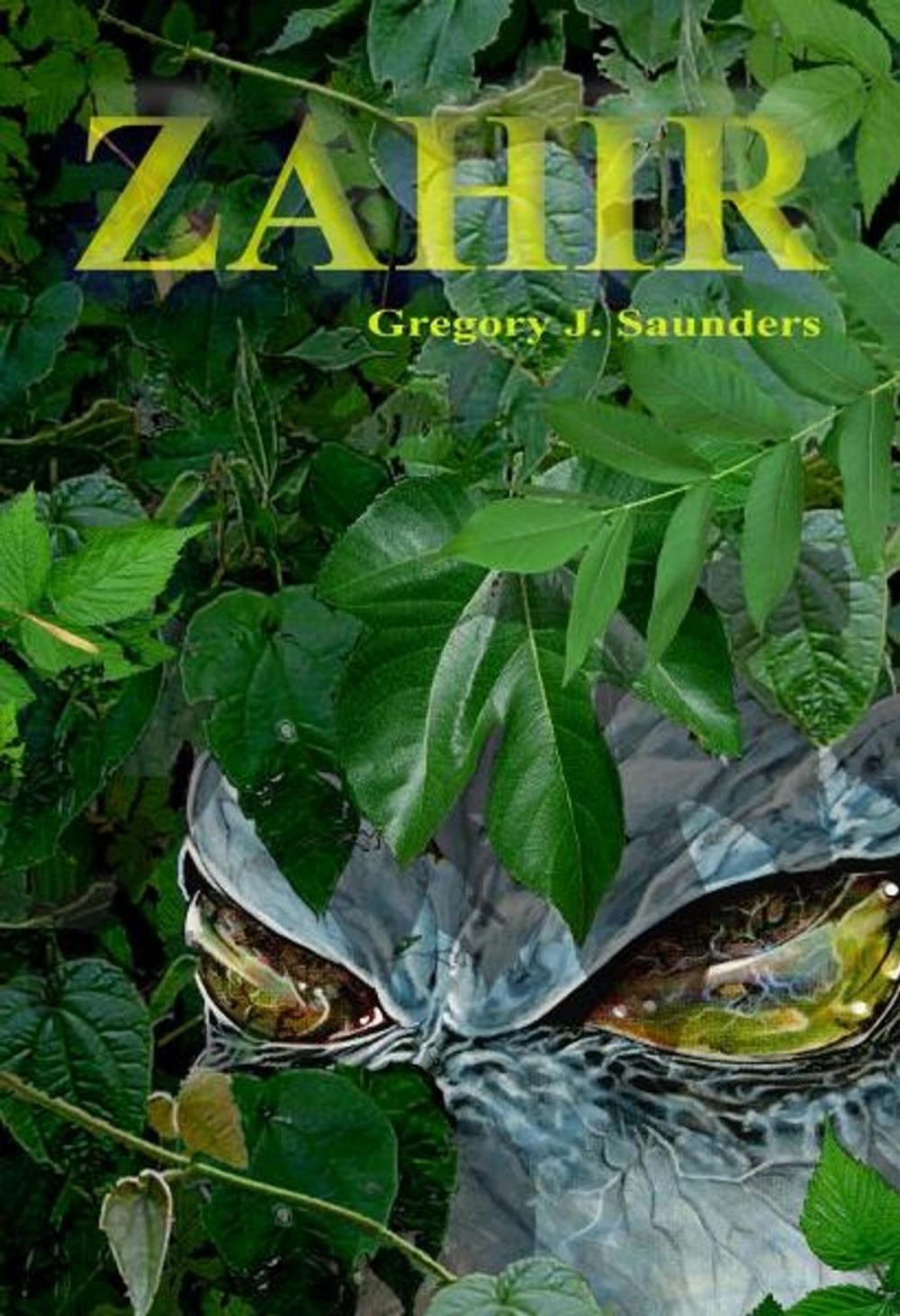 Big bigCover of Zahir