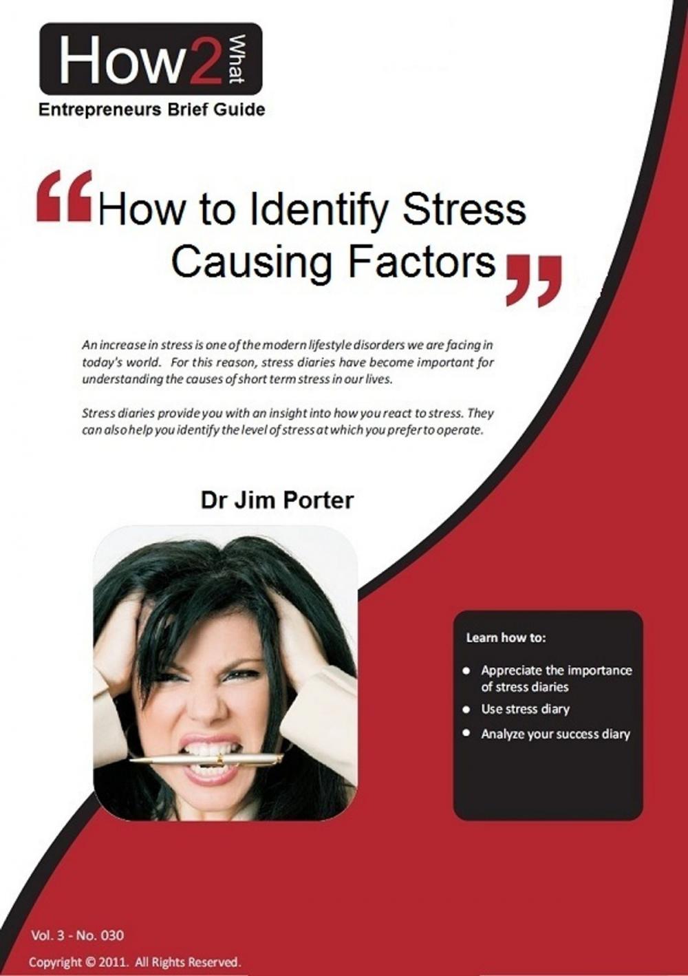 Big bigCover of How to Identify Stress Causing Factors