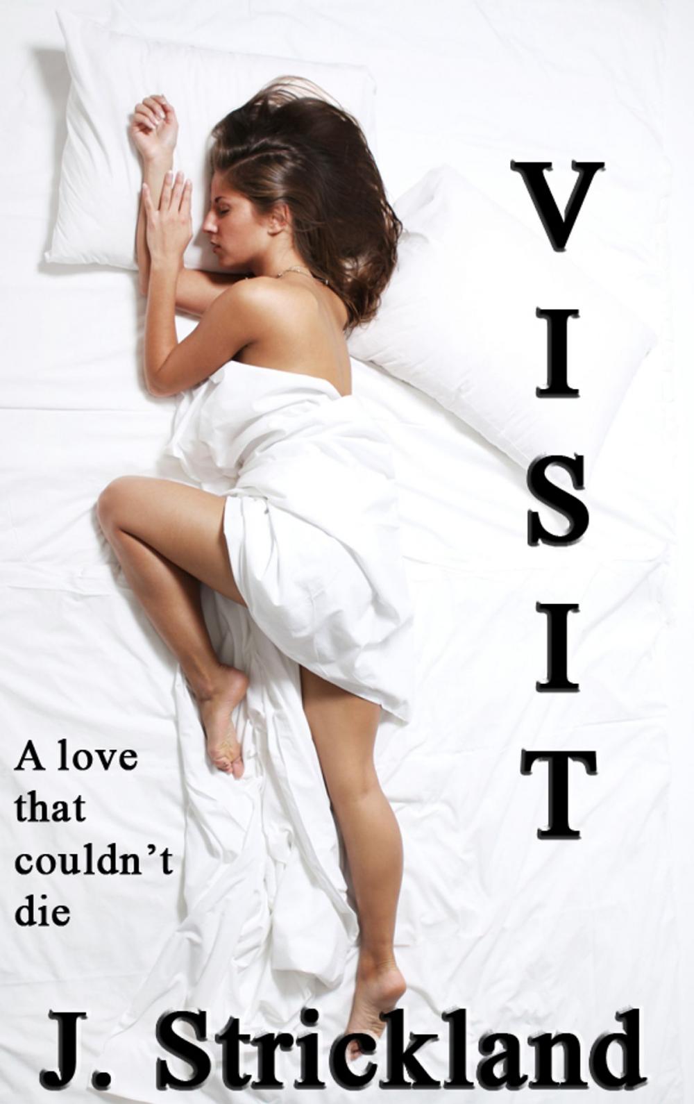 Big bigCover of Visit