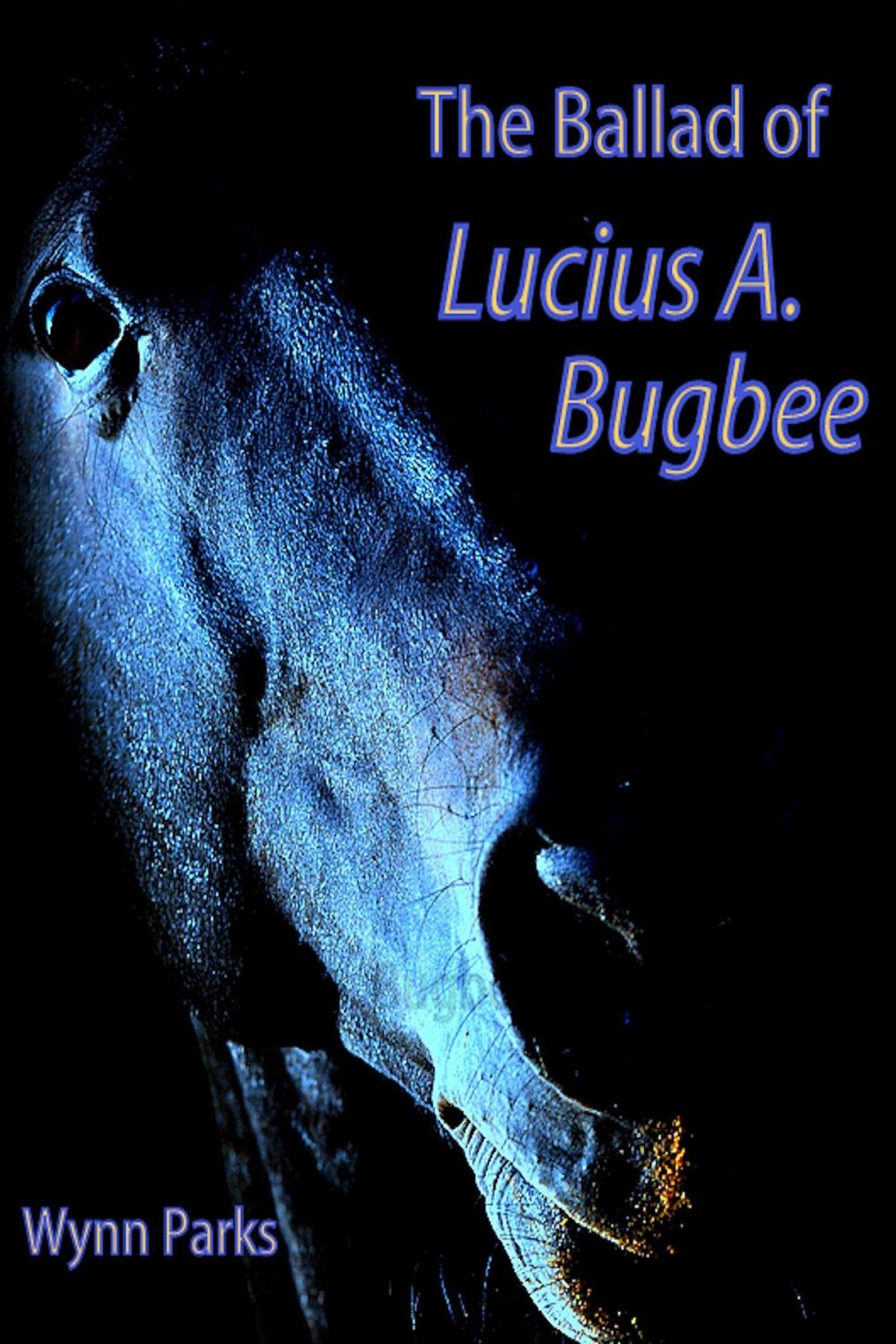 Big bigCover of The Ballad of Lucius A. Bugbee