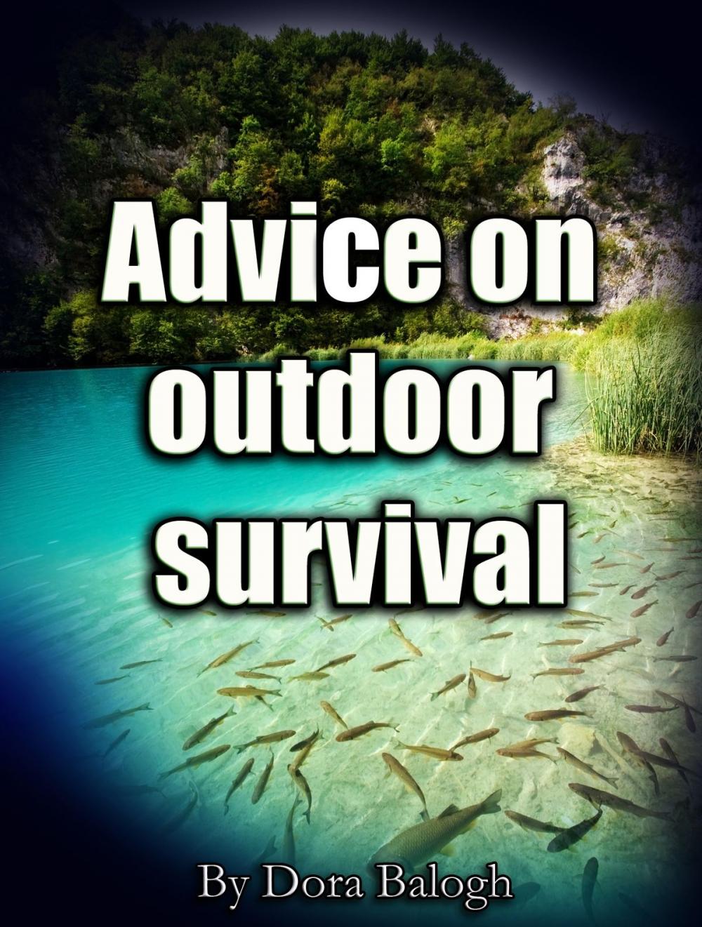 Big bigCover of Advice on Outdoor Survival