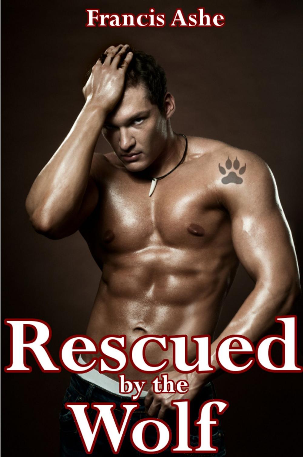 Big bigCover of Rescued by the Wolf (m/m)