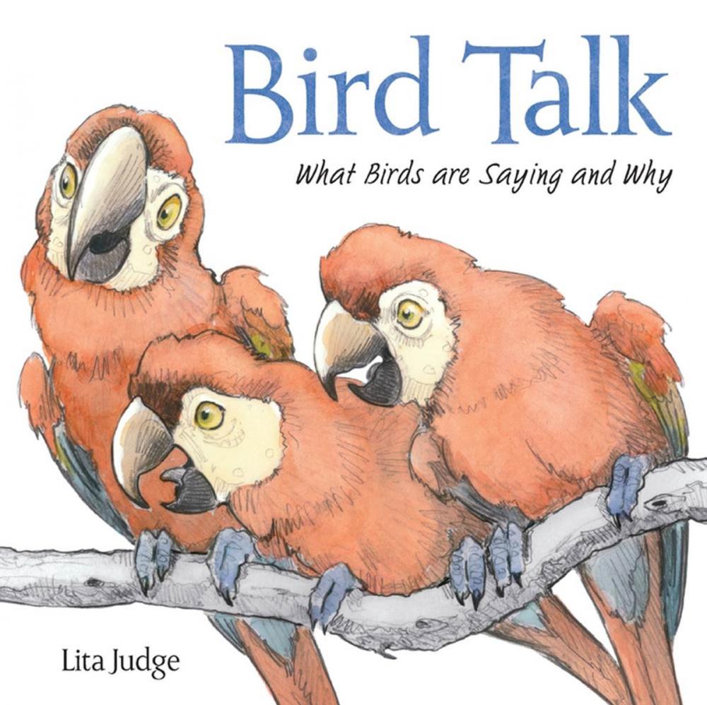 Big bigCover of Bird Talk