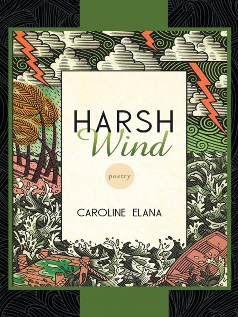 Big bigCover of The Harsh Wind