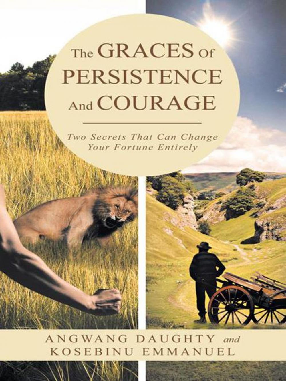 Big bigCover of The Graces of Persistence and Courage