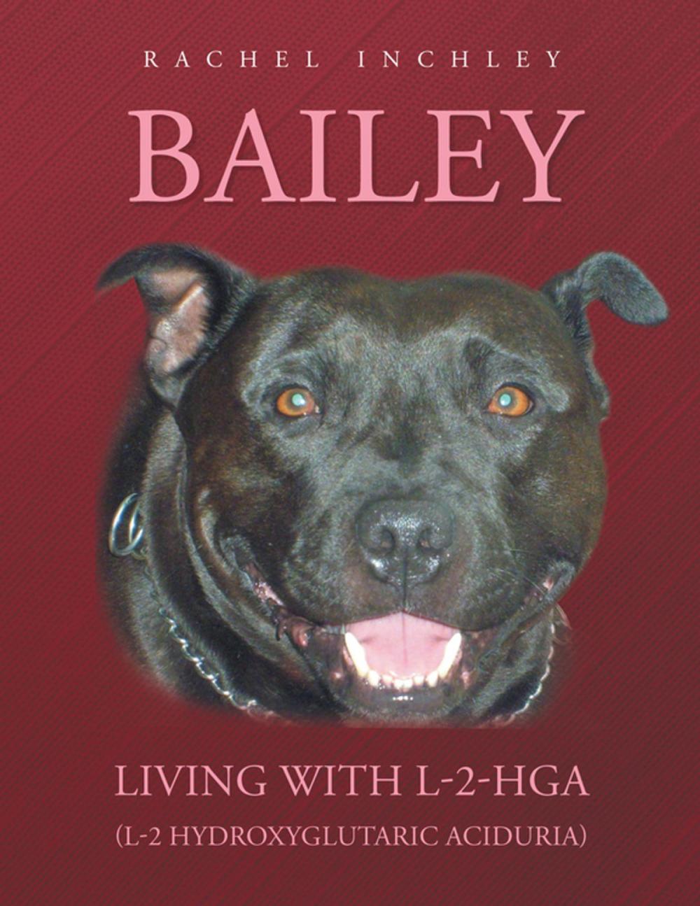 Big bigCover of Bailey Living with L-2-Hga (L-2 Hydroxyglutaric Aciduria)