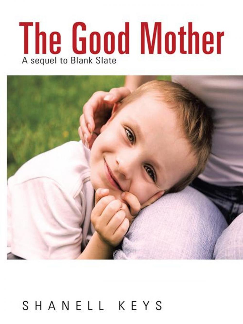 Big bigCover of The Good Mother