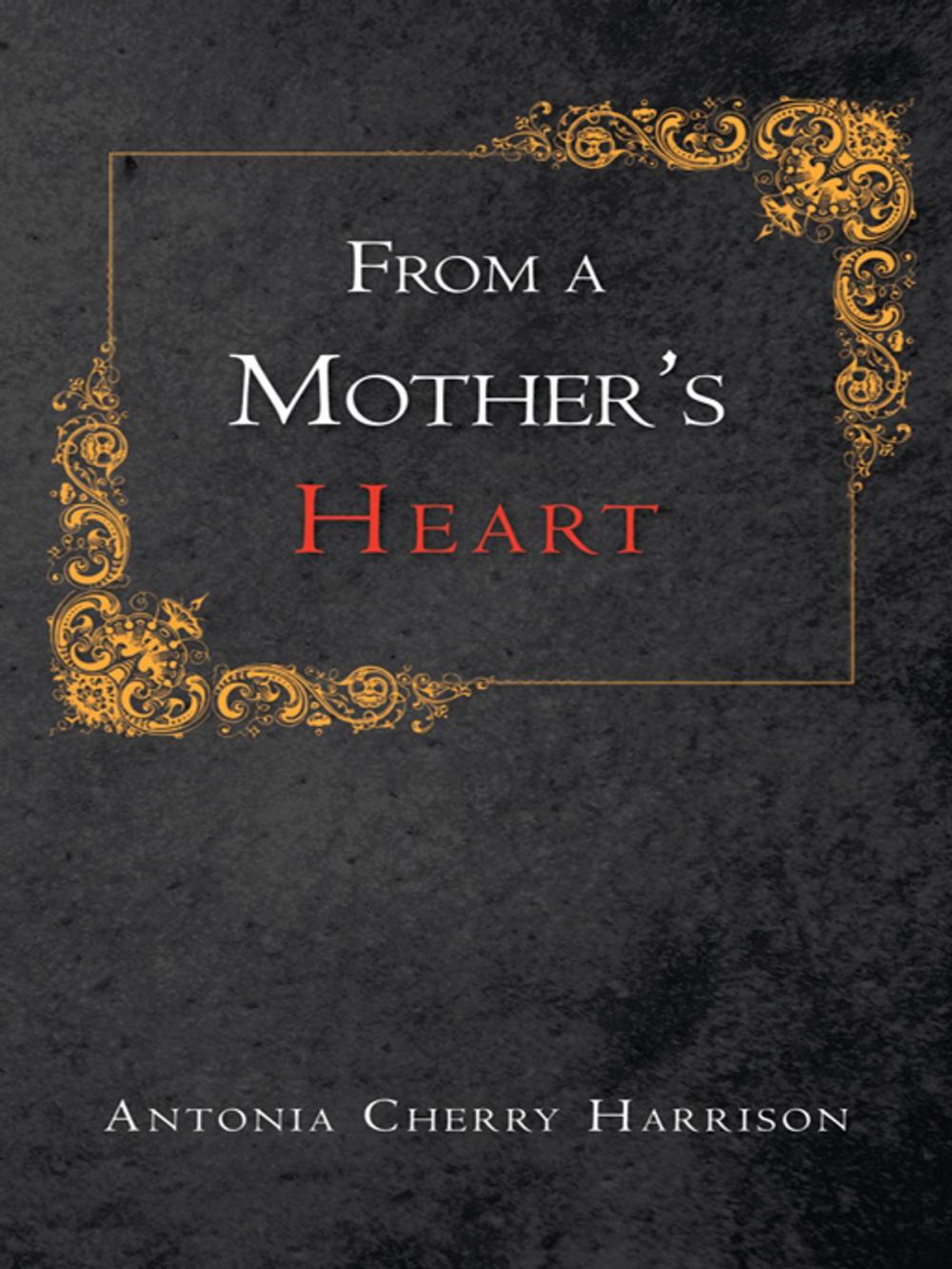 Big bigCover of From a Mother’S Heart
