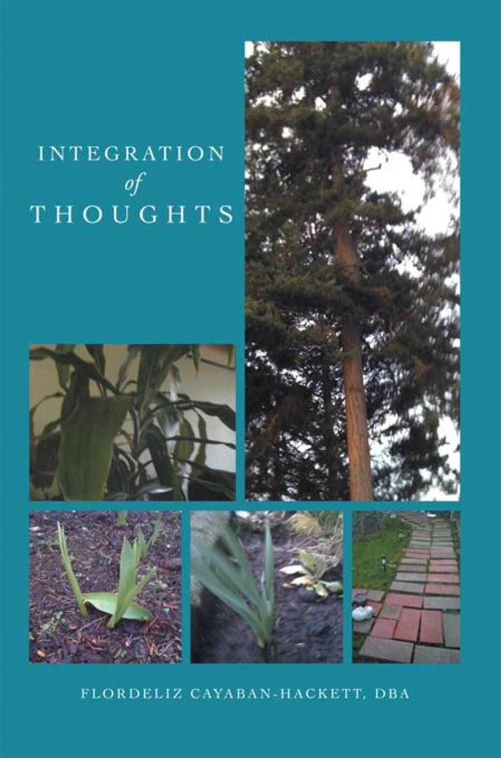 Big bigCover of Integration of Thoughts