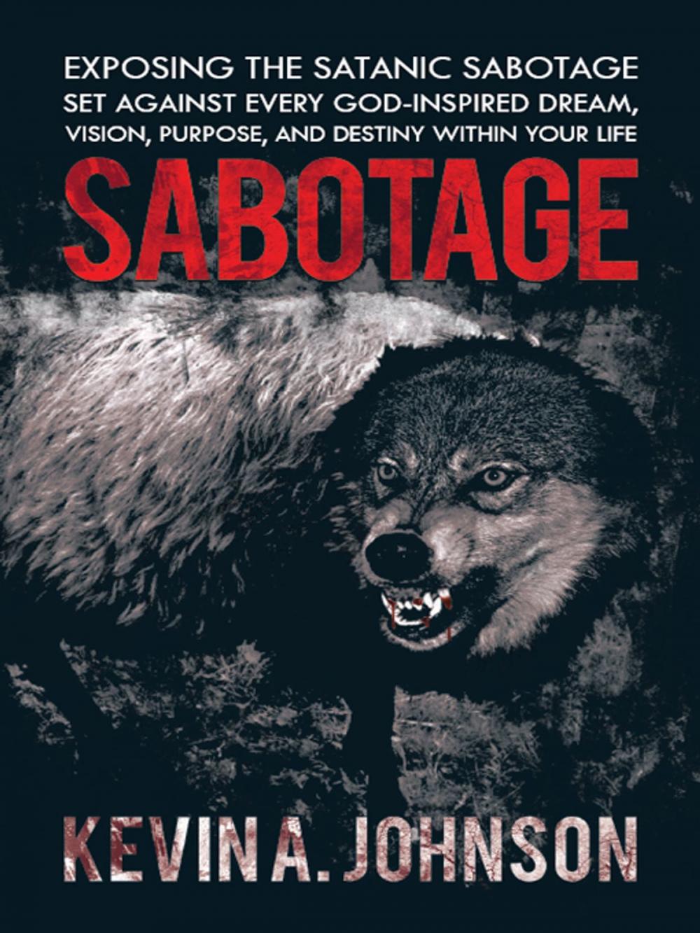 Big bigCover of Sabotage