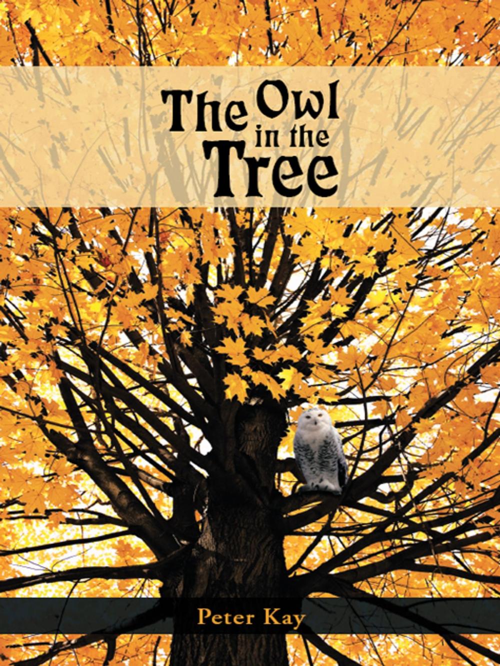 Big bigCover of The Owl in the Tree