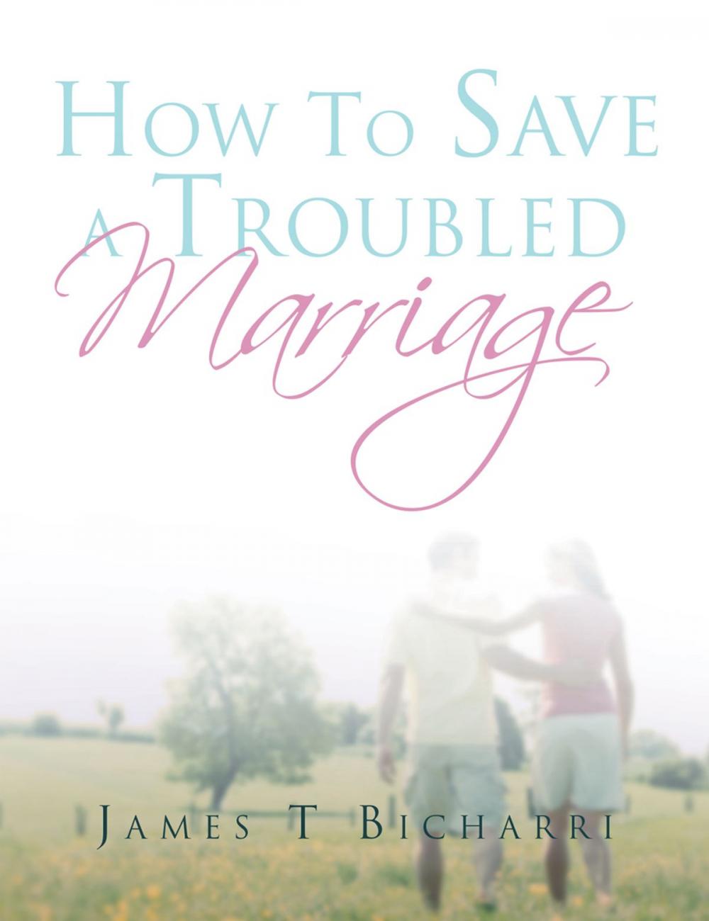 Big bigCover of How to Save a Troubled Marriage