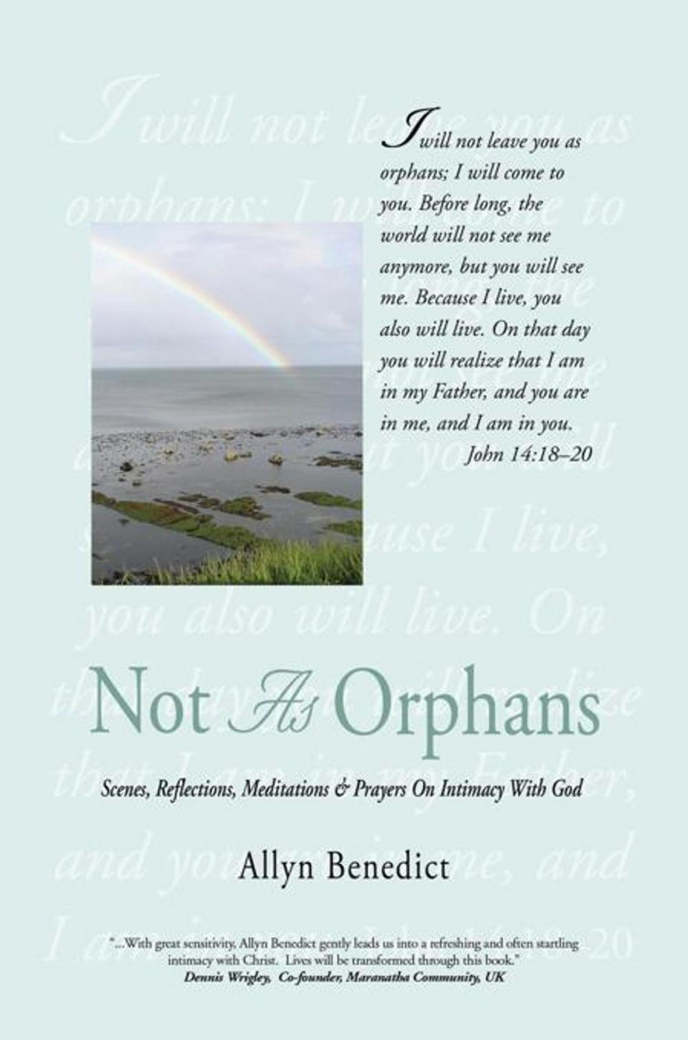 Big bigCover of Not as Orphans