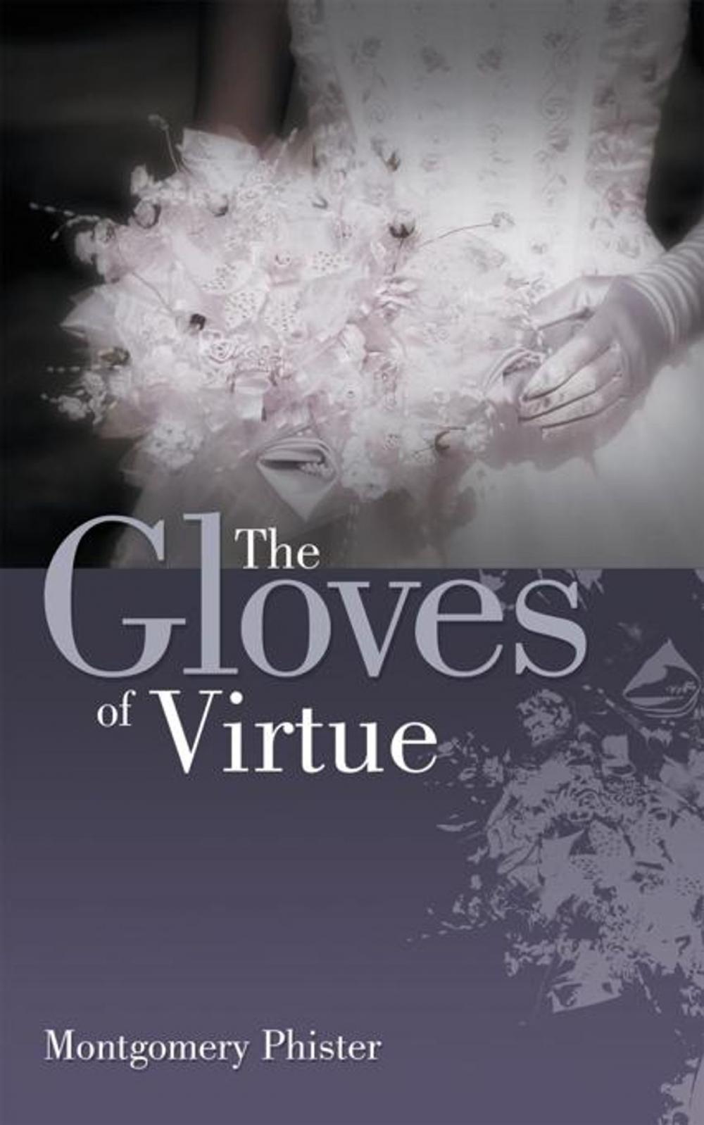 Big bigCover of The Gloves of Virtue