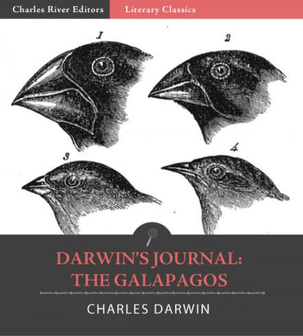 Big bigCover of Darwins Journal: The Galapagos (Illustrated Edition)