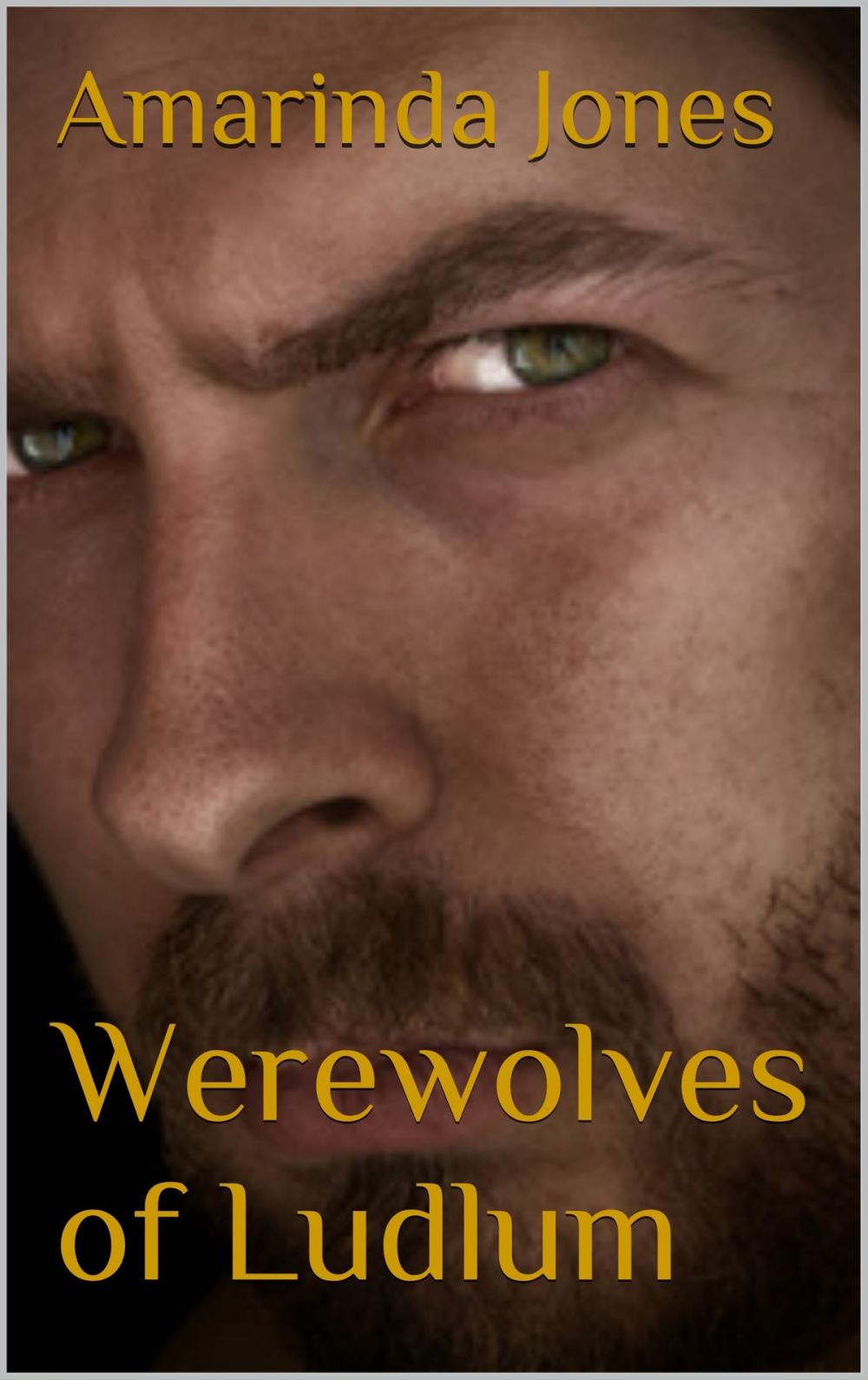 Big bigCover of Werewolves of Ludlum