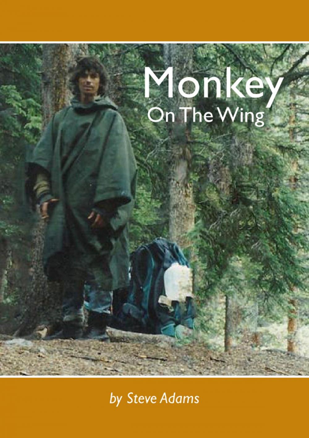 Big bigCover of Monkey on the Wing