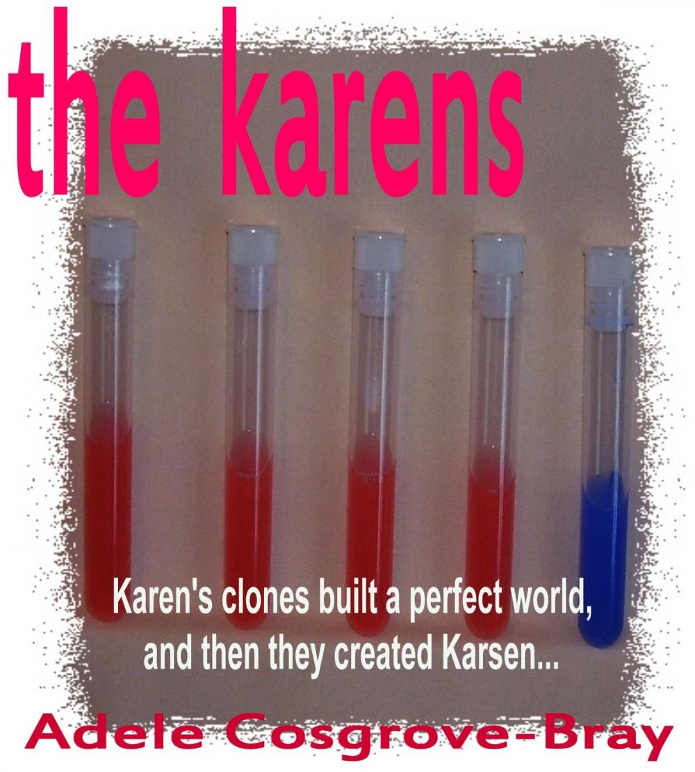 Big bigCover of The Karens