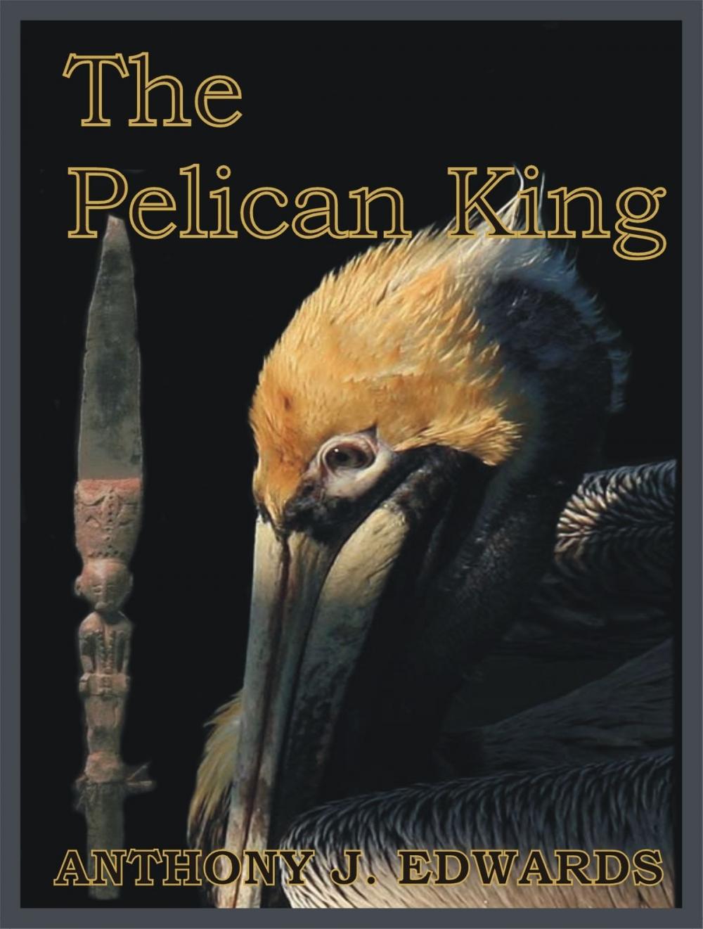 Big bigCover of The Pelican King