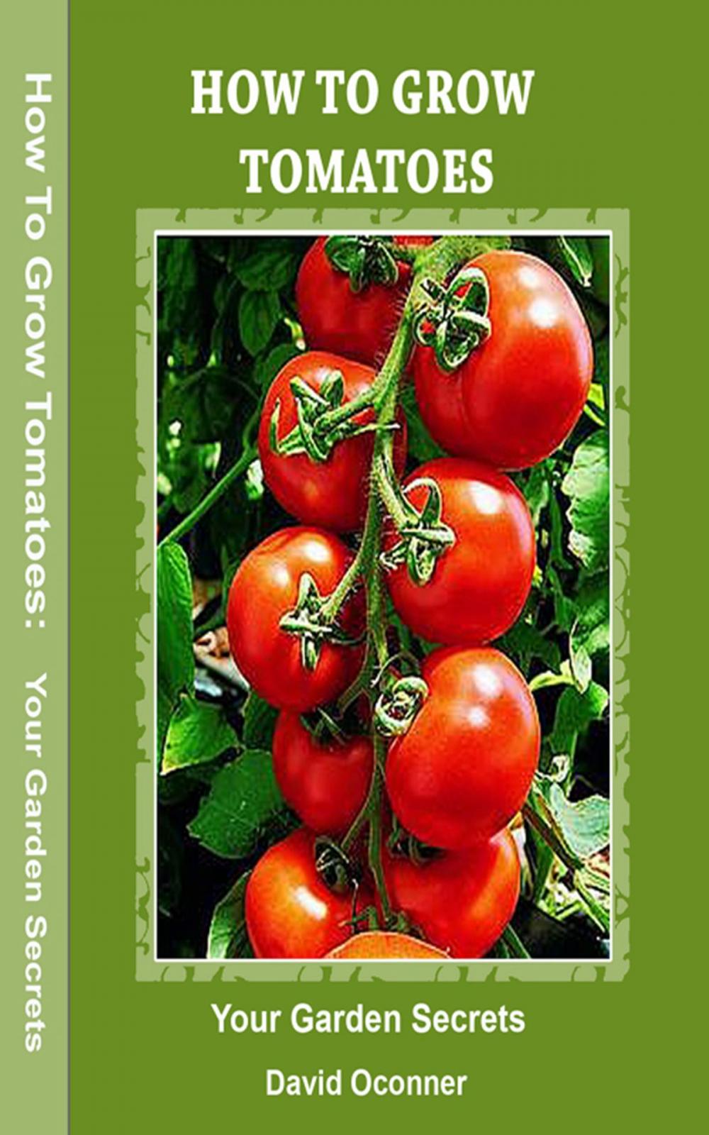 Big bigCover of How To Grow Tomatoes