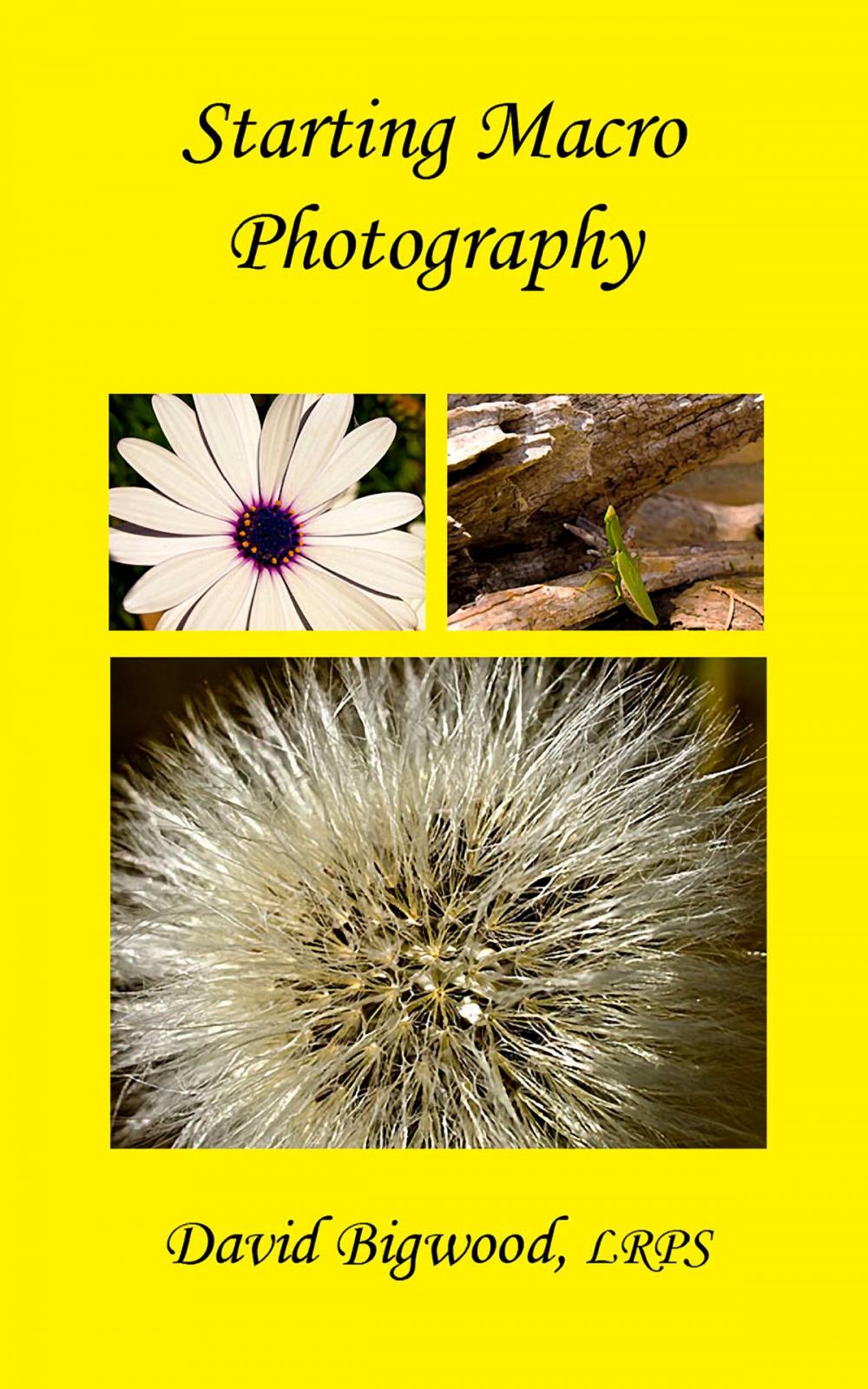 Big bigCover of Starting Macro Photography