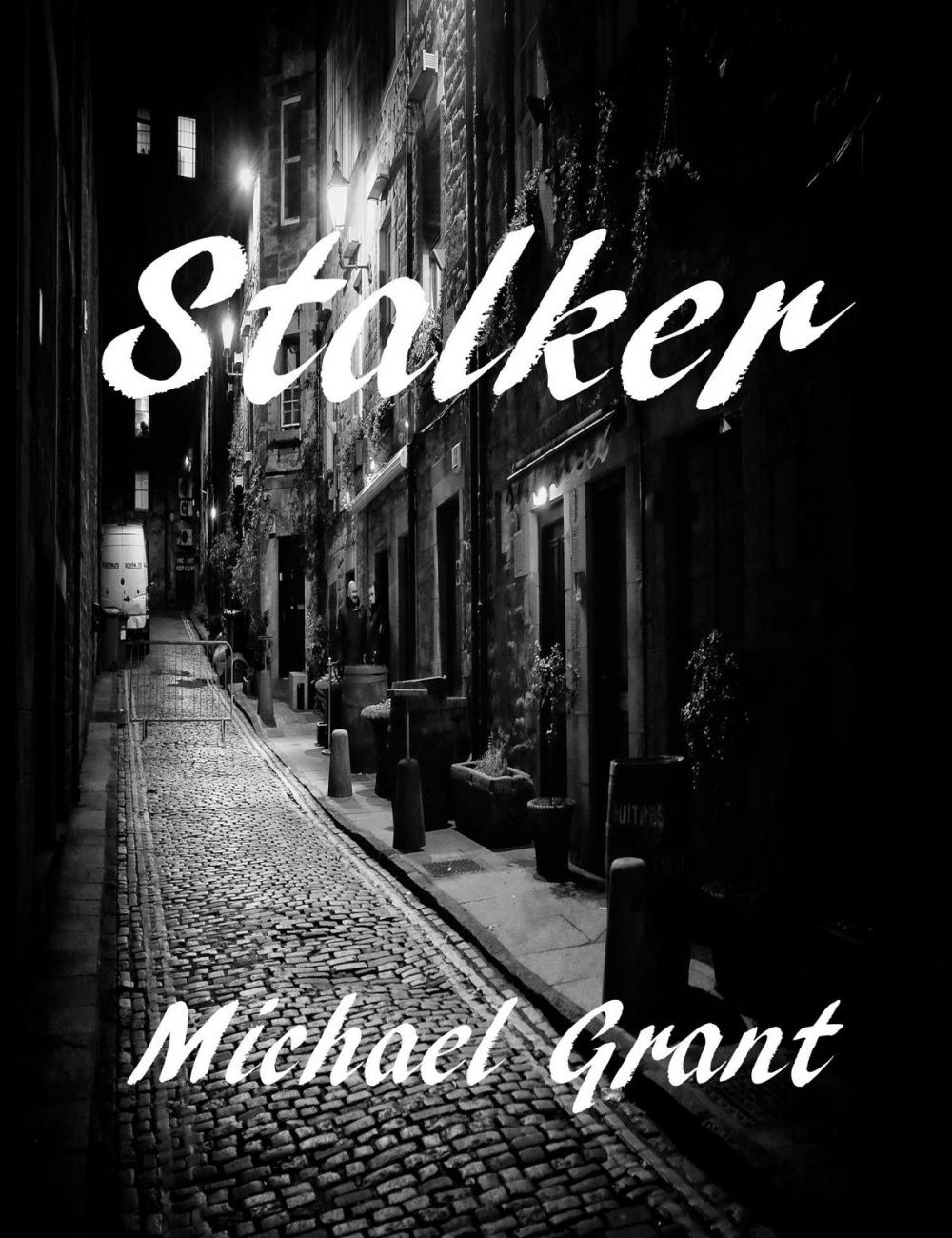 Big bigCover of Stalker