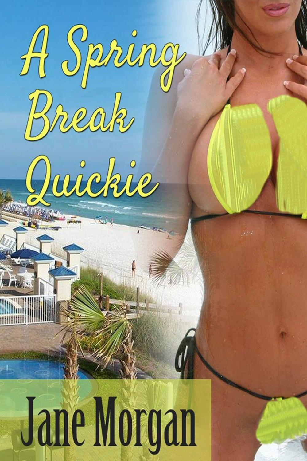 Big bigCover of A Spring Break Quickie