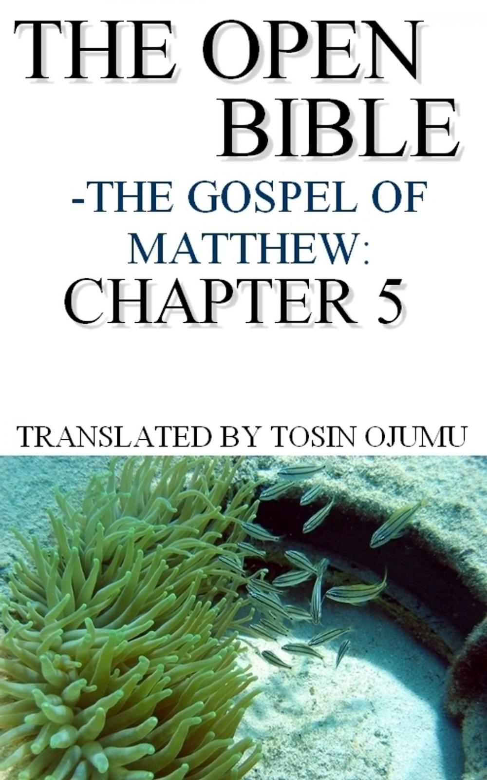 Big bigCover of The Open Bible: The Gospel of Matthew: Chapter 5