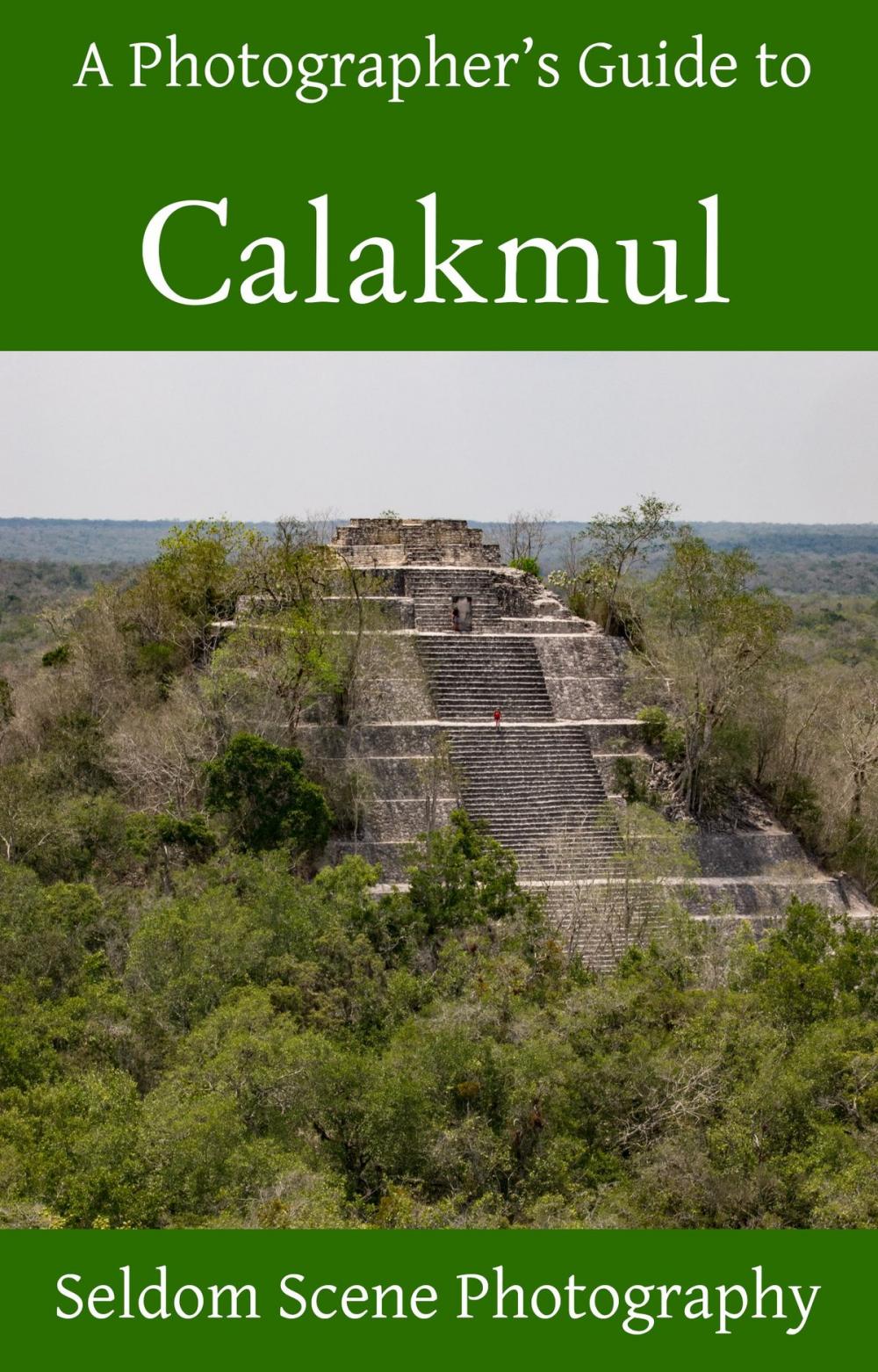 Big bigCover of A Photographer's Guide to Calakmul