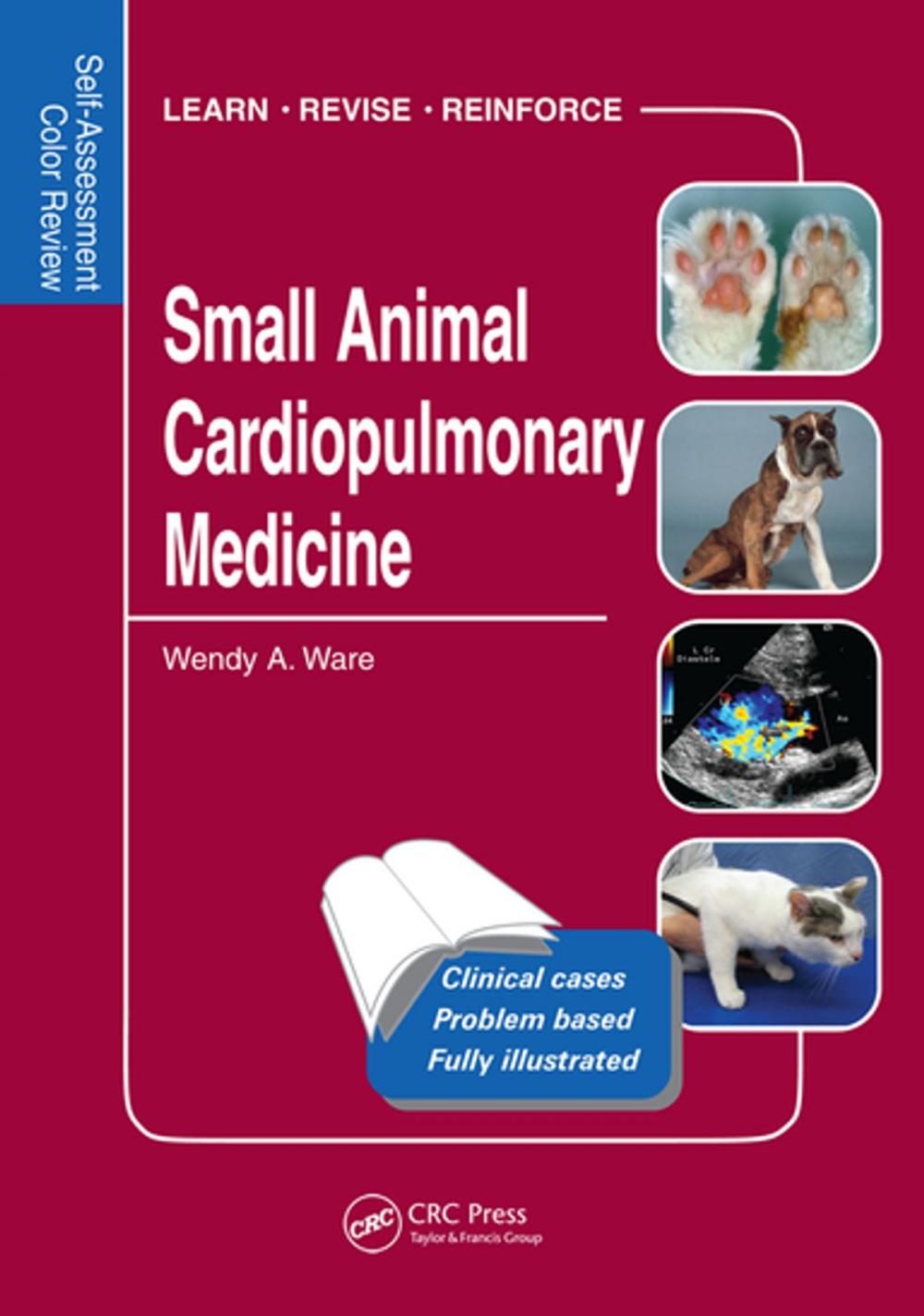 Big bigCover of Small Animal Cardiopulmonary Medicine