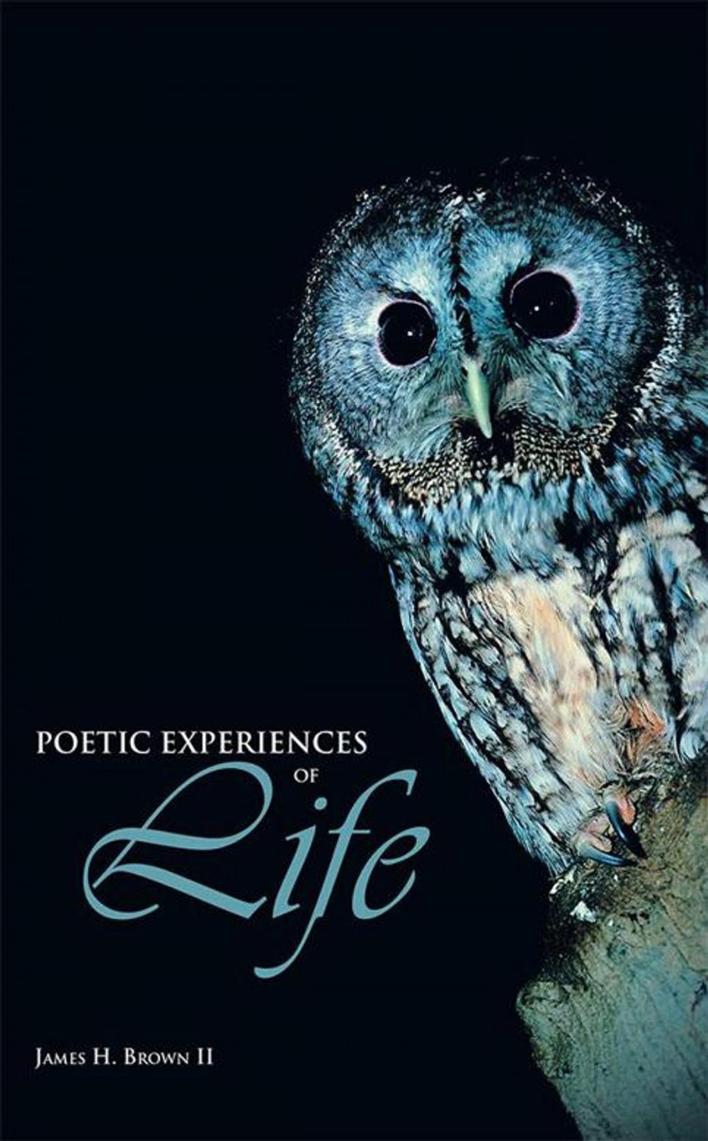 Big bigCover of Poetic Experiences of Life