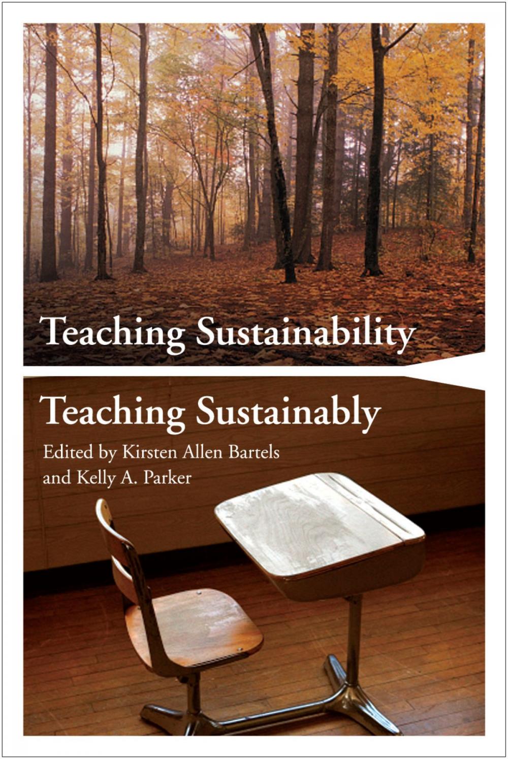 Big bigCover of Teaching Sustainability / Teaching Sustainably