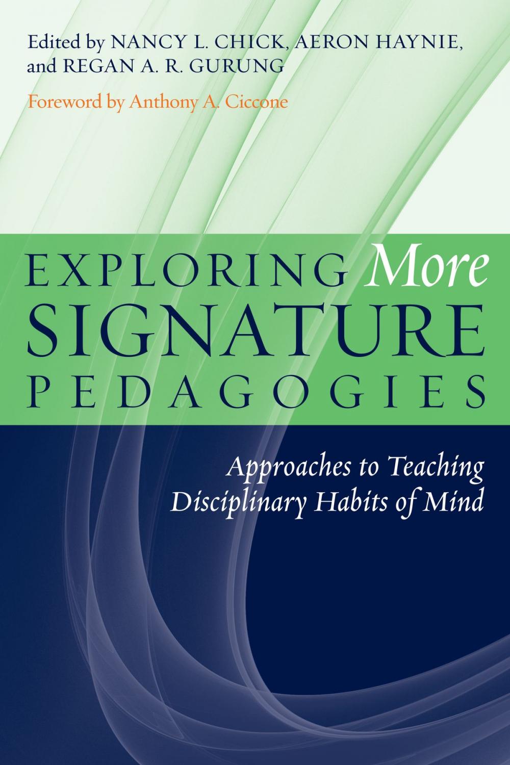 Big bigCover of Exploring More Signature Pedagogies