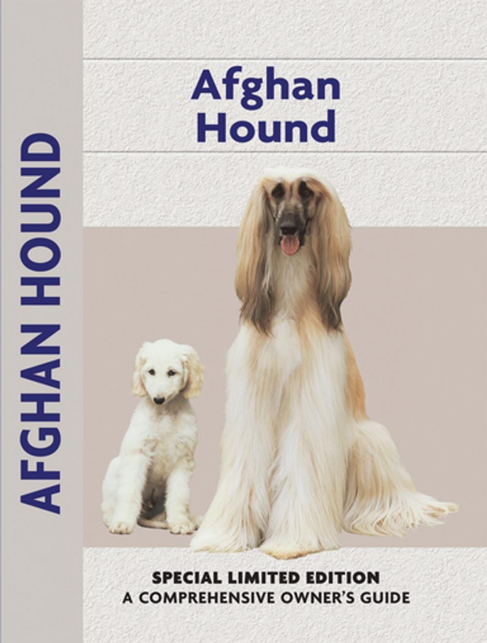 Big bigCover of Afghan Hound