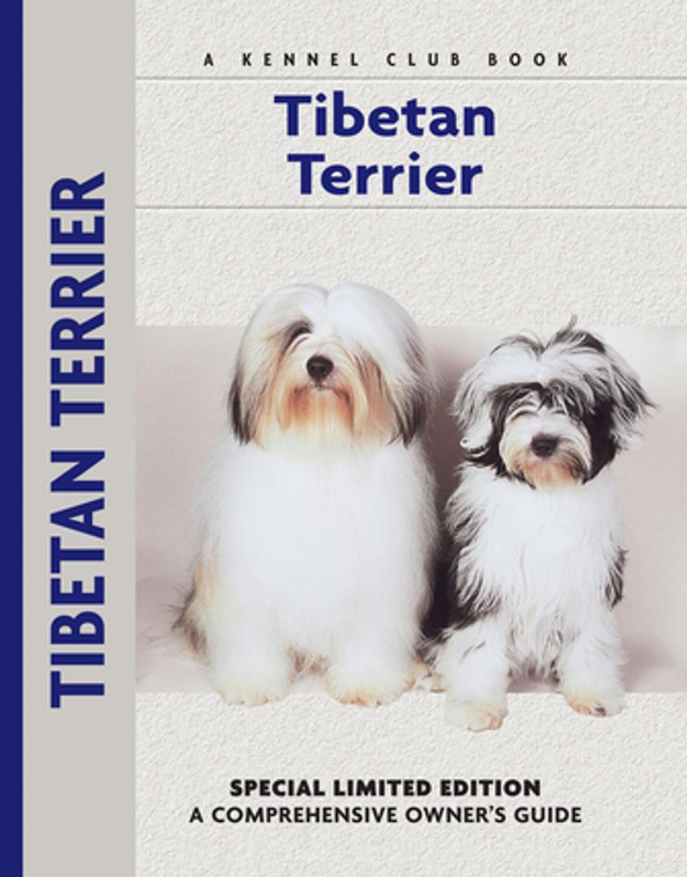 Big bigCover of Tibetan Terrier